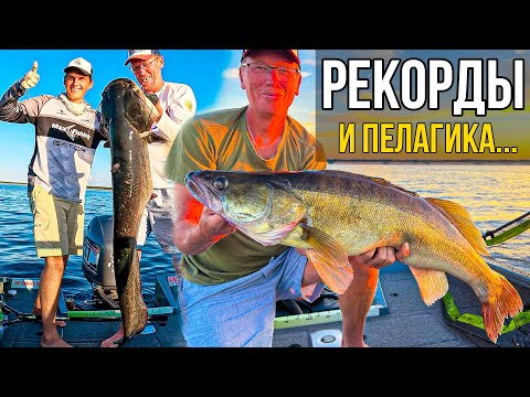 Видео: Новый ЛЮБИМЫЙ ВОДОЁМ - два РЕКОРДА за одну НЕДЕЛЮ | Рыбалка на Горьковском водохранилище