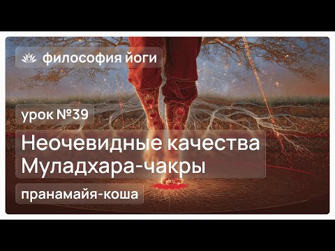 Видео: Философия йоги для начинающих. Урок №39. Неочевидные качества Маладхара-чакры
