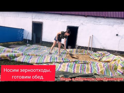 Видео: Носим зерноотходы, готовим обед. #Казахстан #жизньвказахстане #селовказахстане