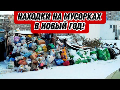 Видео: Что можно найти на мусорках Питера в НОВЫЙ ГОД? КУЧА ИНТЕРЕСНЫХ НАХОДОК!