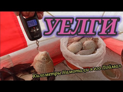 Видео: 🥶УЕЛГИ🥶  Ох и Сложно Было Найти Карася,но я Это Сделал!!!