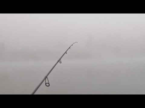 Видео: рыбалка в тумане, где рыба?