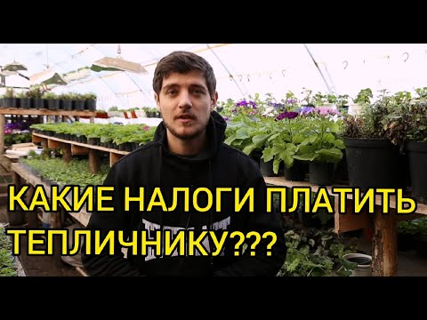 Видео: ЛПХ ИП КФХ ООО САМОЗАНЯТЫЙ - что лучше для тепличного бизнеса?