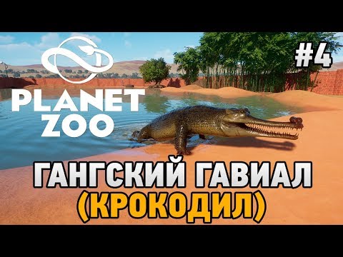 Видео: Planet Zoo #4 Гангский гавиал (крокодил)