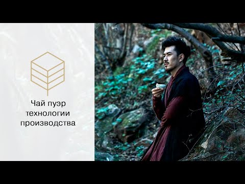 Видео: Чай пуэр. Технологии производства и методы приготовления