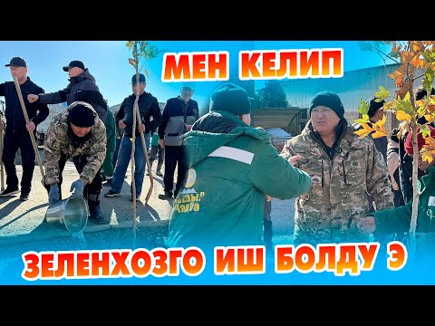 Видео: Ош мэри баарын ТАМАШАГА салып  ~  Ош шаарына 1000 көчөт отургузулууда