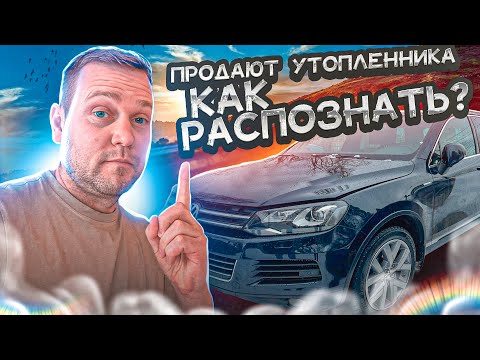 Видео: Туарег Утопленник. Как распознать?