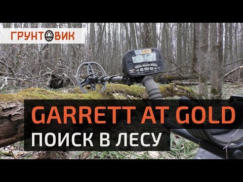 Видео: Поиск в лесу с AT Gold. Грунтовик