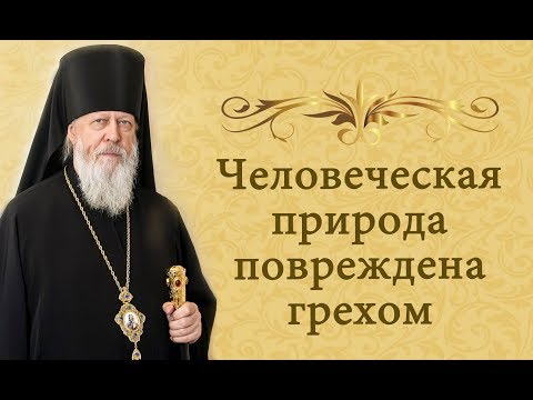 Видео: "Человеческая природа повреждена грехом"