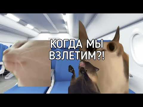 Видео: СЕЗОН 9 POV... (Серия 25 - 27)