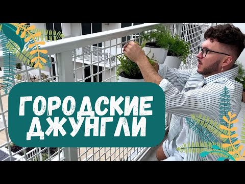 Видео: ОБЖИВАЕМСЯ! новая КВАРТИРА, новый БАЛКОН, старые РАСТЕНИЯ.