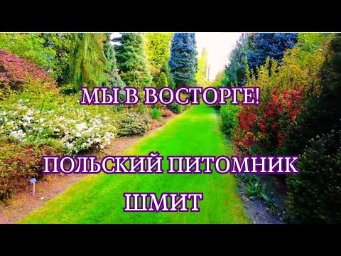 Видео: 🌳 Рай для садоводов! Питомник Шмит в Польше — просто сказка! Ogrodniczy raj! Szkółka Szmit zachwyca!