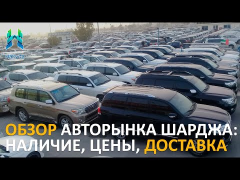 Видео: Обзор авторынка Шарджа (Дубай): цены, какие авто в продаже и как доставляют автомобили в ОАЭ
