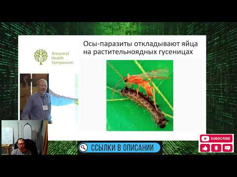 Видео: ДНК риса и пшеницы сложнее чем у человека, как растения защищаются от травоядных