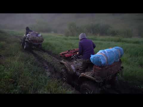 Видео: Михаил Уманов "Ааһар күн". Нealing nature of the mountain tundra/Целительная природа горной тундры