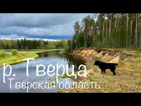 Видео: ЖЕСТОКАЯ РЫБАЛКА! НОЧЕВКА на Красивой реке. Шаурма на костре.