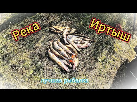 Видео: Река Иртыш. Лучшая рыбалка!