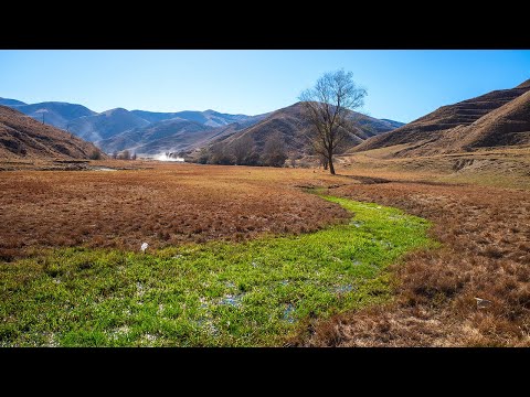 Видео: Кавказская тропа - Кубачи-Кумух