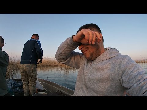 Видео: Майбалык Чуть Не Разочаровал! Рыбалка в Казахстане!
