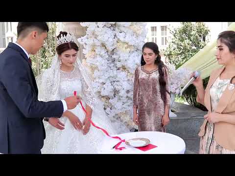 Видео: Мекан & Тавус Love story Душанбе Таджикистан @MEKANMEDIA