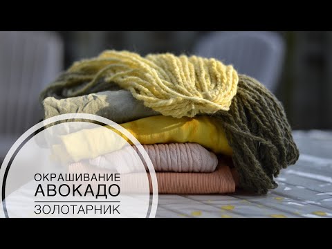 Видео: НАТУРАЛЬНОЕ КРАШЕНИЕ | АВОКАДО | ЗОЛОТАРНИК | ПРОЦЕСС