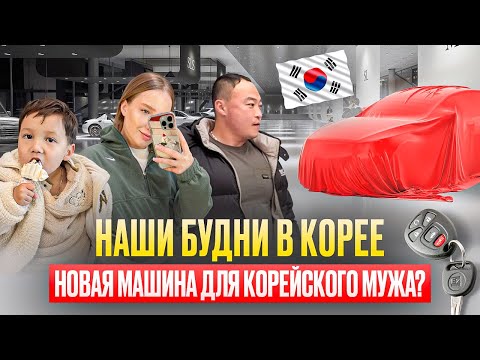 Видео: Наши будни в Корее/муж выбирает новую машину/готовимся к Новому Году