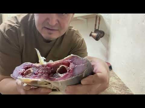 Видео: Рыбалка Маково. Жерех, сухой посол.