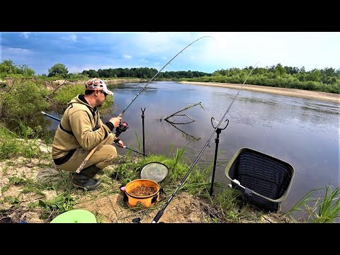 Видео: Руки Крюки. Спустив Трофей. Риболовля на Фідер