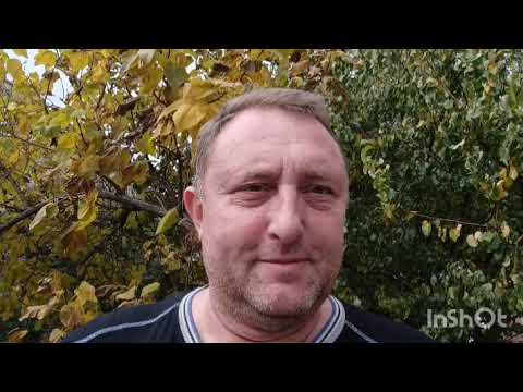 Видео: Локи и Мэри 