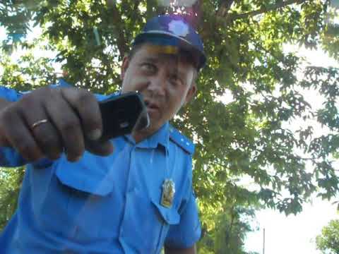 Видео: БЫК попытался выдавить стекло моего авто