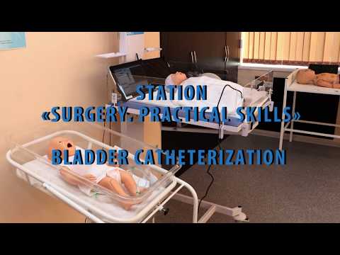 Видео: Bladder catheterization (О-2)