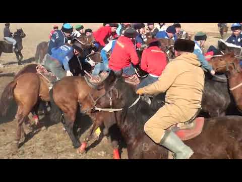 Видео: Жандос бауырымыздын елден бата алу кокпары 11 01 2024 кутарыс кокпар