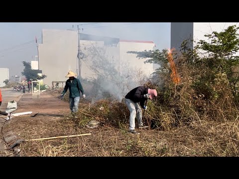 Видео: Уборка тротуара: от мусорного ужаса к чистоте в шокирующем превращении.
