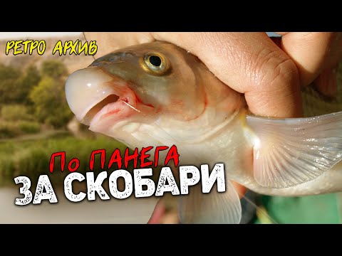 Видео: По Панега за СКОБАРИ / как да ги надхитрим в студена вода?