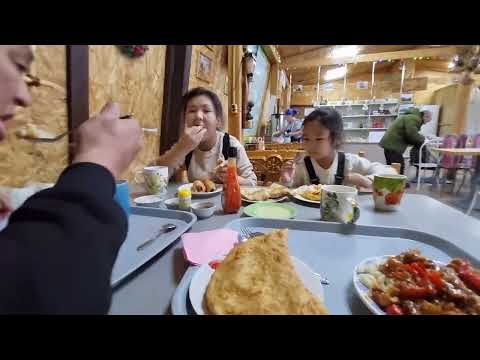 Видео: Куоратчыттар