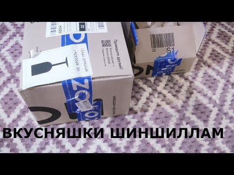 Видео: ТЕПЕРЬ У НАС ШИНШИЛЛЫ/ЗАКАЗАЛИ ВКУСНЯШЕК ДЛЯ НИХ