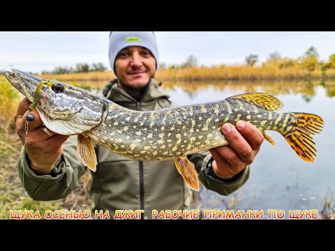 Видео: Щука и окунь на ДЖИГ! Осенняя рыбалка с берега!