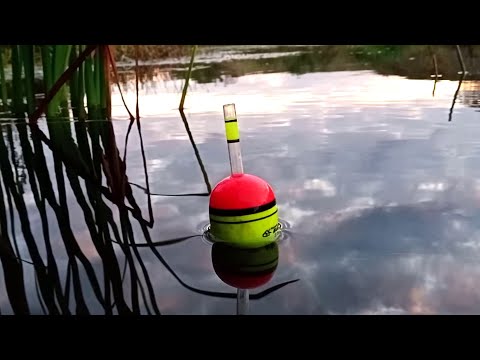 Видео: АКТИВНЫЙ ВЫХОД ЩУКИ НА ЖИВЦА