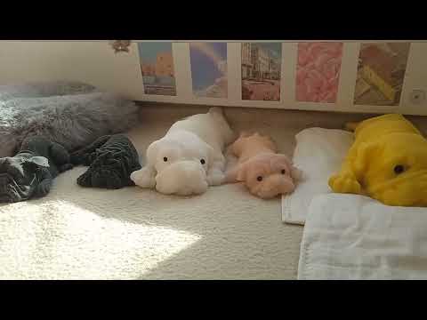 Видео: Почему я редко снимаю видео?