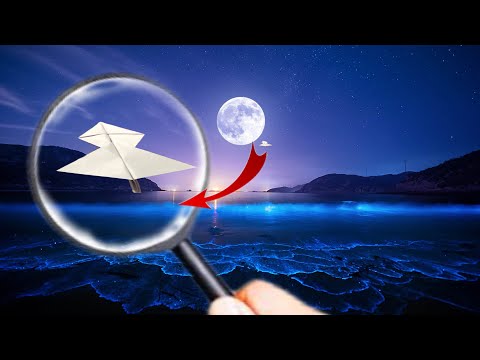 Видео: Қағаздан ұшақ жасау , ұшақты айға ұшырдық 🤯