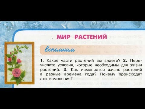 Видео: Окружающий мир 3 класс ч.1, тема урока "Мир растений", с.78-81, Перспектива.