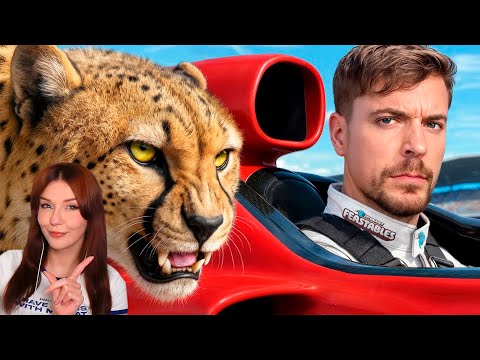 Видео: Самая Быстрая Машина в Мире vs Гепард! MrBeast ( Мистер Бист ) Реакция