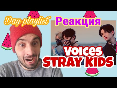 Видео: Stray Kids - Voices (Реакция)