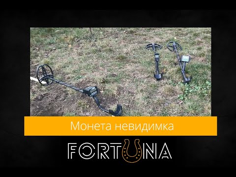 Видео: Монета невидимка - сколько находок пропущено