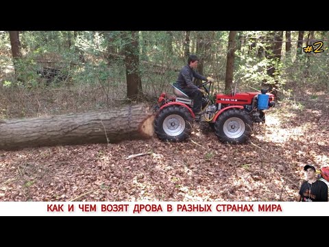 Видео: КАК И ЧЕМ ВОЗЯТ ДРОВА В РАЗНЫХ СТРАНАХ МИРА #2 / TRANSPORTATION OF FIREWOOD IN DIFFERENT COUNTRIES