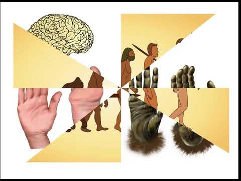 Видео: Адамдын пайда болушу жана биосферага тийгизген таасири.