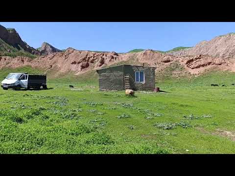 Видео: шашылыш түрдө Сарай сатылат жайыты кенен тел 0700396743