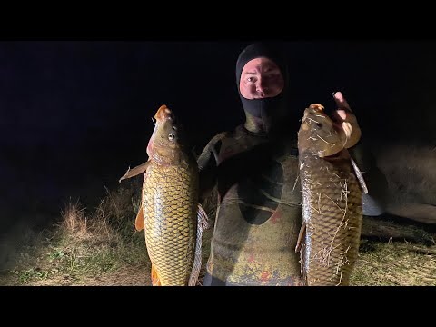 Видео: Подводная охота в завалах нашли стаю сазана ￼