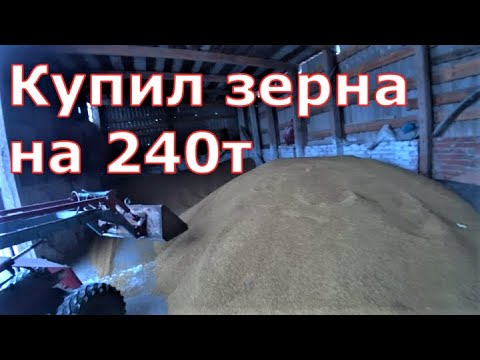 Видео: Завозим 30 тонн зерна