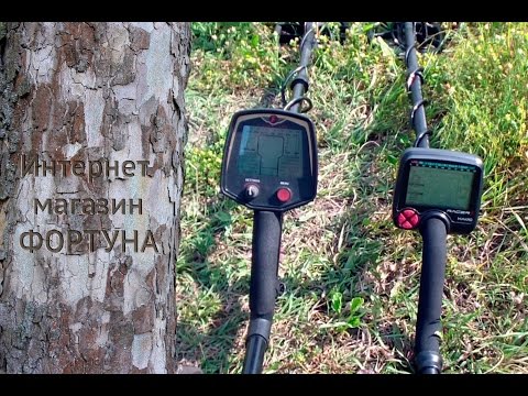 Видео: Сравнение Fisher F75 и Makro Racer 2 - тест на глубину